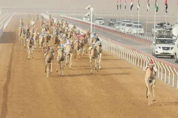 165 جولة في مهرجان العين لسباقات الإبل