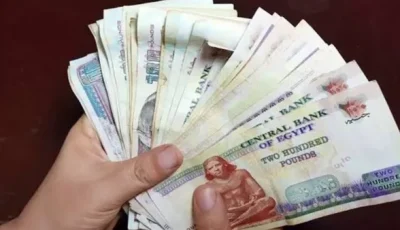 من تجارة المخدرات إلى استثمارات غير حقيقية.. اكتشاف غسل أموال بقيمة 50 مليون جنيه
