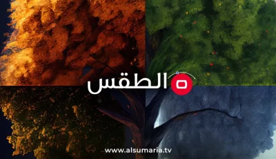 طقس غير مستقر.. أجواء صيفية حارة مع احتمال هطول الأمطار