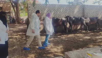 أعمال وزارة الزراعة في تنفيذ برامج رصد الأمراض الحيوانية والداجنة خلال شهر يونيو