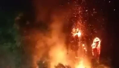 إخماد حريق في أشجار النخيل على طريق الأربعين بين نجع حمادي وأبوتشت الزراعي