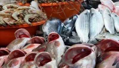 استقرار ملحوظ في سوق العبور