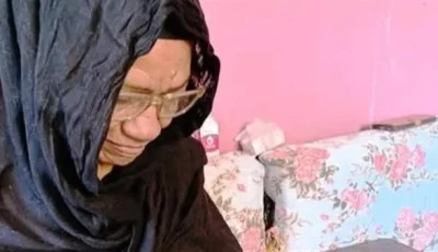 محافظ أسوان يعد بتكريم السيدة فاطمة علي المعروفة بلقب “قاتلة الأمية”