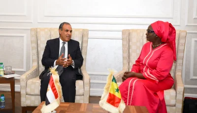 تفاصيل الاجتماع بين وزير الخارجية ووزيرة التكامل الأفريقي والشؤون الخارجية في السنغال