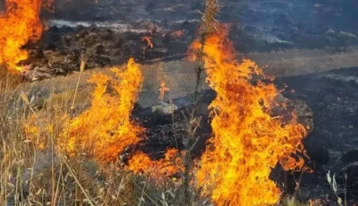 قتلى نتيجة أسوأ حريق في تاريخ قبرص.. 125 كيلومترا فقدت تمامًا