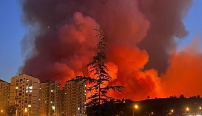 حرائق الغابات ت jeopardize الأحياء السكنية في بورصة