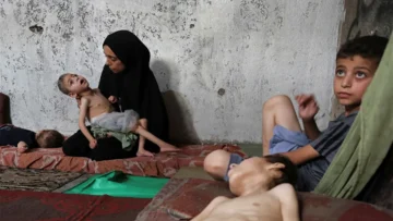 40 ألف طفل حديث الولادة مهددون بالموت الآن