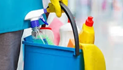 صياغة قانون لتنظيم العمالة المنزلية وتحديد معايير خاصة للتفتيش