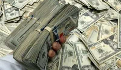 الداخلية تستمر في ملاحقة تجار العملة.. ضبط مخالفات بقيمة 4 ملايين جنيه خلال يوم واحد