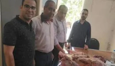 ضبط 1.7 طن من اللحوم غير الصالحة للأكل