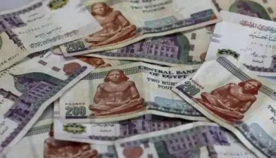 استحوذت على ملايين الجنيهات.. منصة VSA تنصب على آلاف الضحايا في مصر