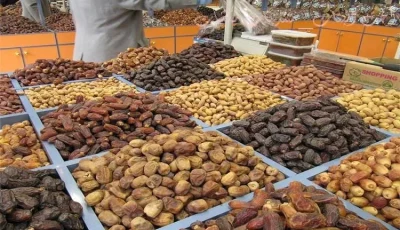 إنتاج التمور في الوادي الجديد: فرصة استثمارية واعدة وتوفير وظائف جديدة