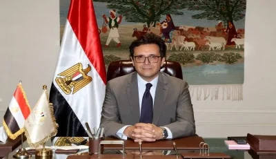 استراتيجية وطنية بثلاثة جوانب لإ revitalizing السينما المصرية