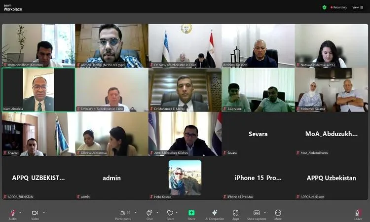 “الزراعة الحجرية” تُعلن عن بداية أول شحنة من بذور البطاطس الصغيرة إلى أوزبكستان