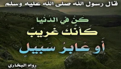 مجرد طريق وليس مكان إقامة دائم