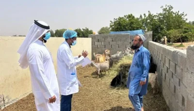 أم القيوين تطلق مبادرة «حلالنا معافى» لتعزيز قطاع الإنتاج الحيواني