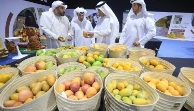 «منافسة المانجو في ليوا: 89 مزرعة تسعى للتفوق»