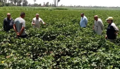 مصر تبدأ مشروعًا يربط المزارعين بسوق العمل ويعزز الاستثمارات الزراعية