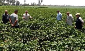 يحتاج وضع الأسمدة إلى مزيد من التنسيق مع المصانع