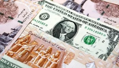 طرق سداد الديون بعد ارتفاع الدولار.. توضيحات من الدكتور غنايم
