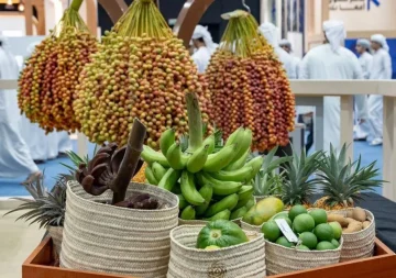 مهرجان ليوا للرطب يجذب 144.6 ألف زائر
