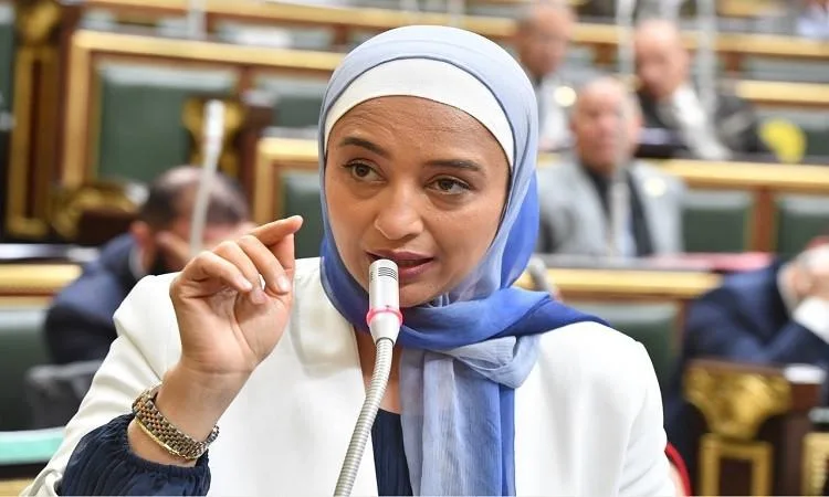 محاولات غير ناجحة لتشويه جهود مصر في تقديم المعونات إلى غزة
