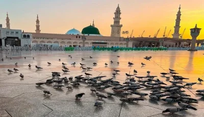 محبة الرسول ﷺ: المؤشرات والأدلة