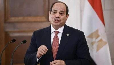 خطاب من الرئيس السيسي إلى نظيره النيجيري يسلمه وزير الخارجية