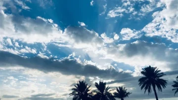 استمرار موجة الحر.. أخبار إيجابية اعتبارًا من الغد