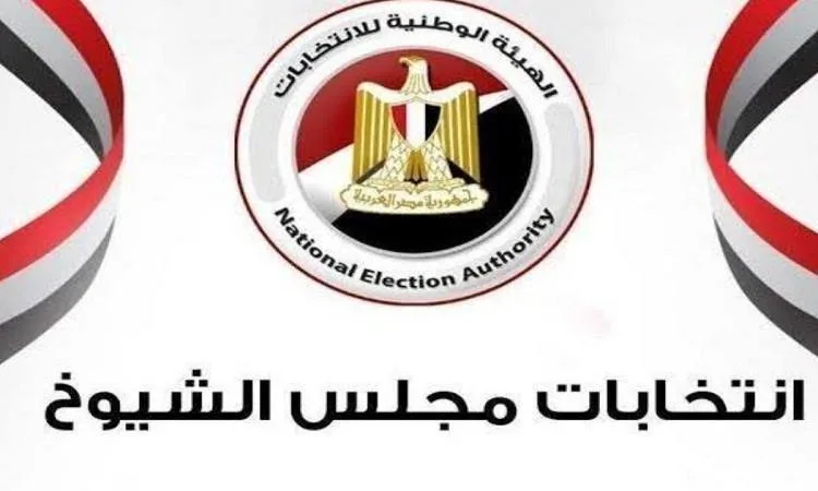 الإعلام غير المنحاز هو أساس تعزيز المشاركة السياسية للمصريين