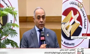 136 لجنة للمصريين في الخارج و8286 داخل البلاد