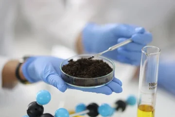 مستقبل مشرق للزراعة في المناطق الجافة انطلاقاً من الإمارات