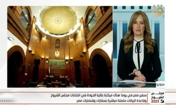 التصويت في الخارج يُعتبر احتفالًا بالديمقراطية